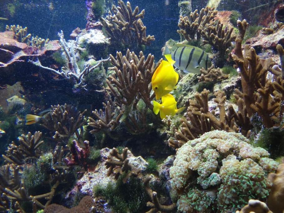 Inselidylle Villa Kunterbunt Fehmarn Kültér fotó